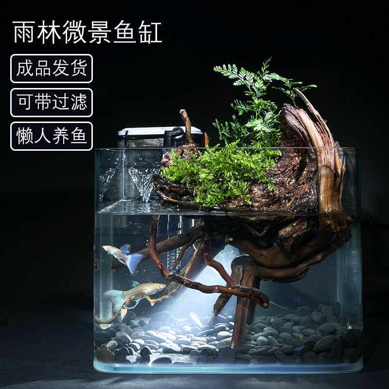 流水版杜鹃根微景观生态瓶鱼缸盆栽盆景植物室内绿植办公桌水培。