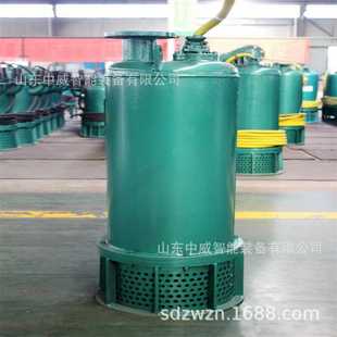 N矿用隔爆型潜水排沙电泵 BQS300 煤矿用防爆潜水排污泵