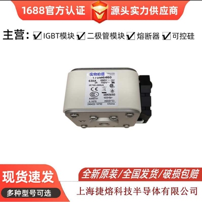 170M6460 快速熔断器  保险丝 电子元器件 量大价优 可开专票