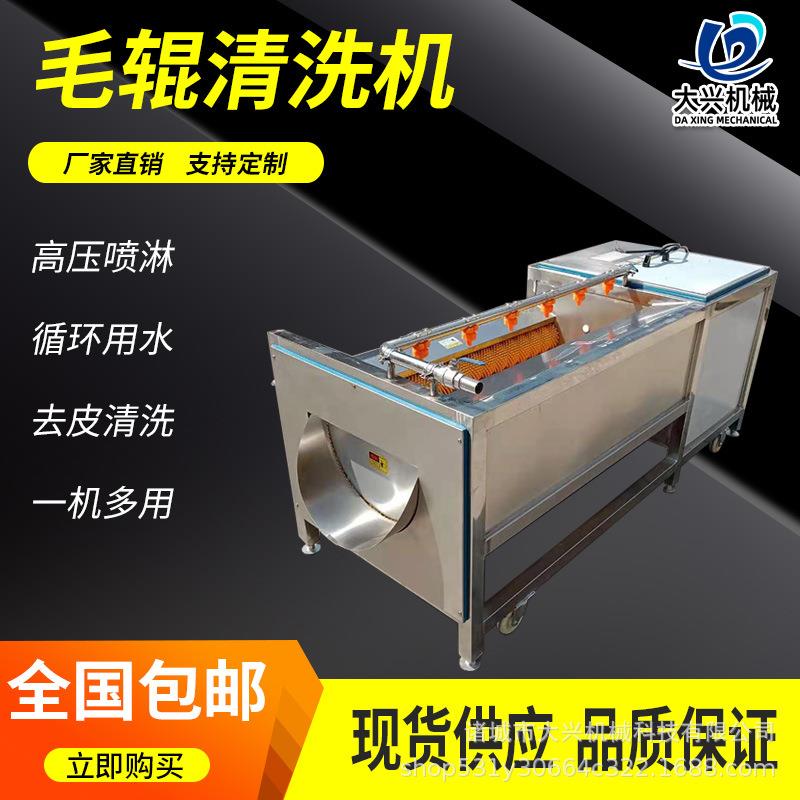银杏果毛辊清洗机厂家全自动毛刷喷淋清洗机白果清洗机设备
