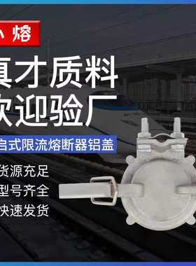 PT新型高压限流熔断器户外T型接线端 RXWO-RW10-RW9-35KV铝盖一对