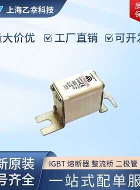 巴斯曼熔断器  170M2010 170M2011 170M2012 170M2013 170M2014