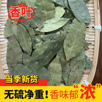广西特产香叶炖肉增味调味料