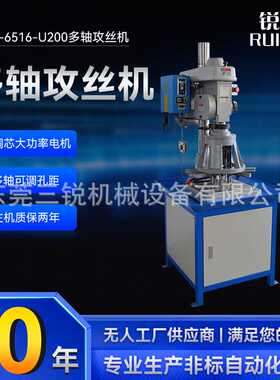 锐者自动攻丝机RZ-6516-U200五金件多轴攻牙加工多头齿轮式攻丝机