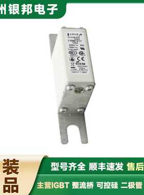 供应全新保险丝 170M3717 170M3718 170M3719 低压快速熔断器