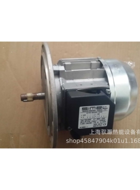 3013752 利雅路电机SIMEL MODLE:10/3002 0.45KW 380V RL44 RS44