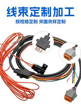 汽车ADAS辅助驾驶线束定制加工DT06-08S带PCB板注塑连接线加工