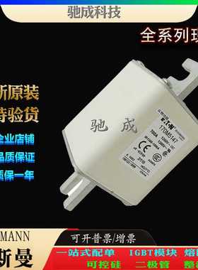 巴斯曼170M5174 170M5175 170M5176 现货供应厂价直供 高速熔断器