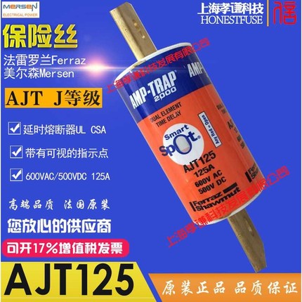 Ferraz/Mersen保险丝AJT110延时熔断器600V 110A class J  Spot