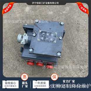 660L矿用隔爆型漏电保护检测用电阻箱 1140 矿用隔爆型电阻箱 DZB