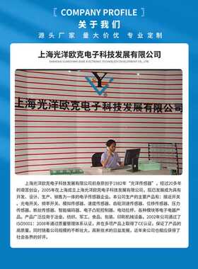 光洋欧克GYOK TD08反光器