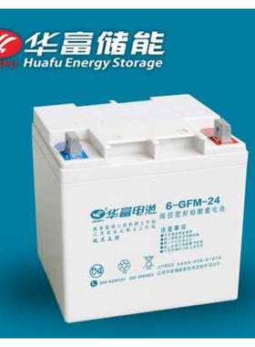 华富铅酸免维护蓄电池12V24AH 机房设备 风能发电照明应急