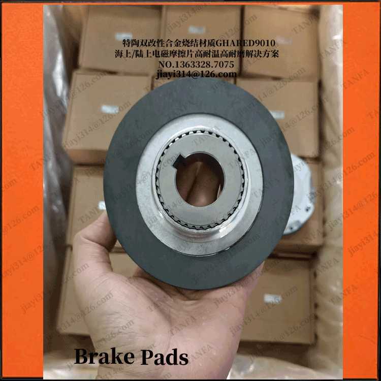 电磁抱闸刹车片 FA06 INOX 5913/1000 配套BN132S6 FD