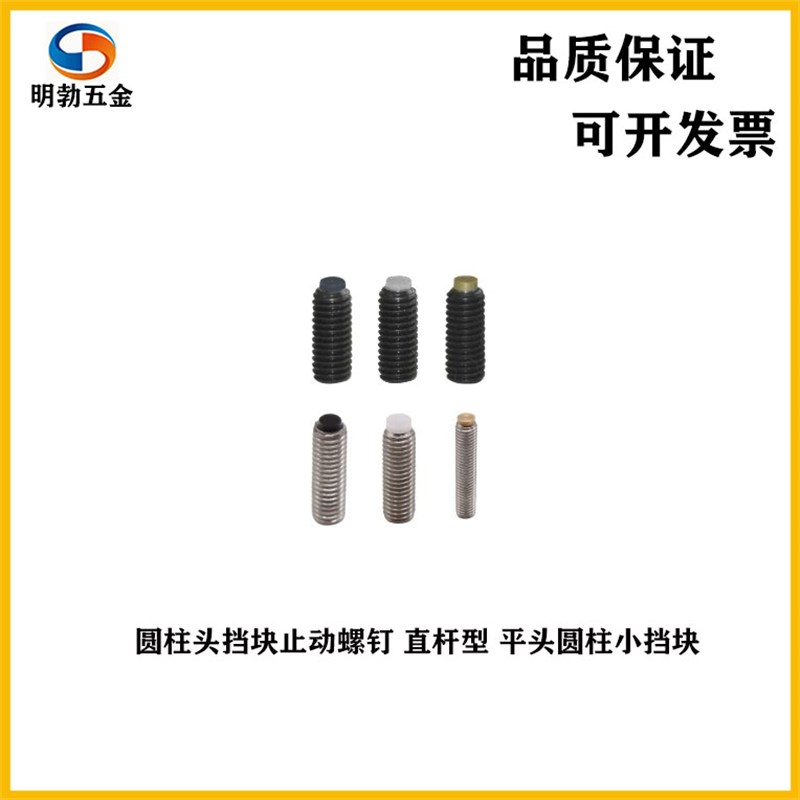 TDA11-M3/4/5/6/8/10/12-Lz6/8/10/12/16/20/30圆柱头挡块止动螺