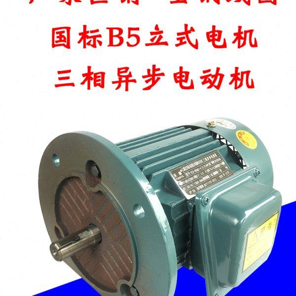 三相立式异步电动机小型0.75/1.1/1.5/2.2/3/4/5.5KW法兰电机380V