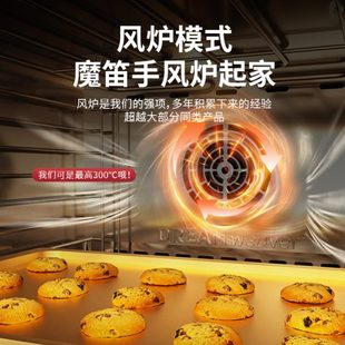 2025款 E60pro私房风炉平炉家用电烤箱3合1蒸烤箱 彩屏魔笛手E50