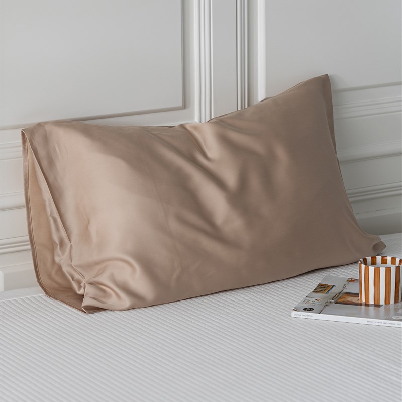 夏季凉感60支兰精天丝枕头套一对装男女C 纯色枕套48x74cm新款202