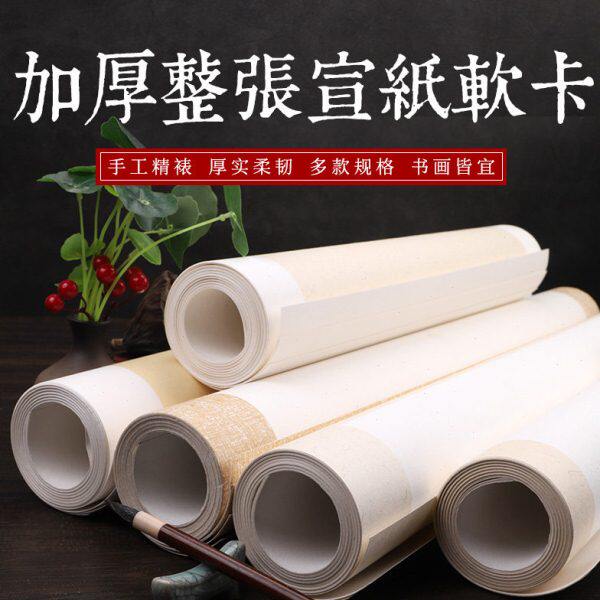 徽雨轩空白宣纸软卡纸四尺整张仿古生宣纸镜片六尺条屏麻布纹绢布
