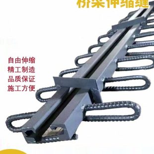 置 装 公路桥梁伸缩缝GQF C40F60D80160240型ERG异型钢毛勒缝模数式