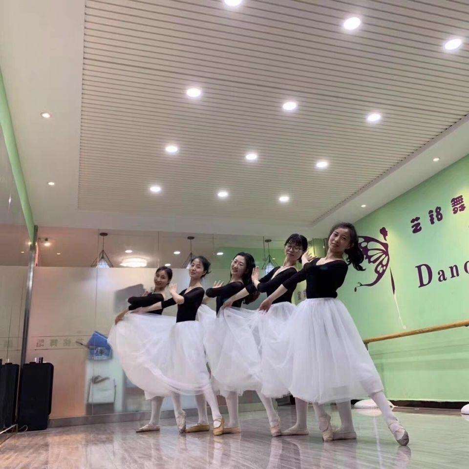 舞蹈纱裙子女半身教师白色网纱成人跳芭蕾舞形体服练功现代中长款