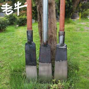 挖坑移植專用農用工具苗木鏟松土打洞錳鋼洛陽鏟 廠供加厚挖樹鏟