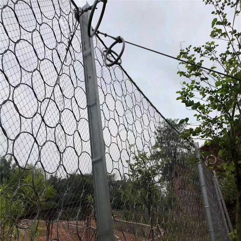 PPS-100DB/A被动柔性防护网  PPS-200型被动网 张口式引导防护网