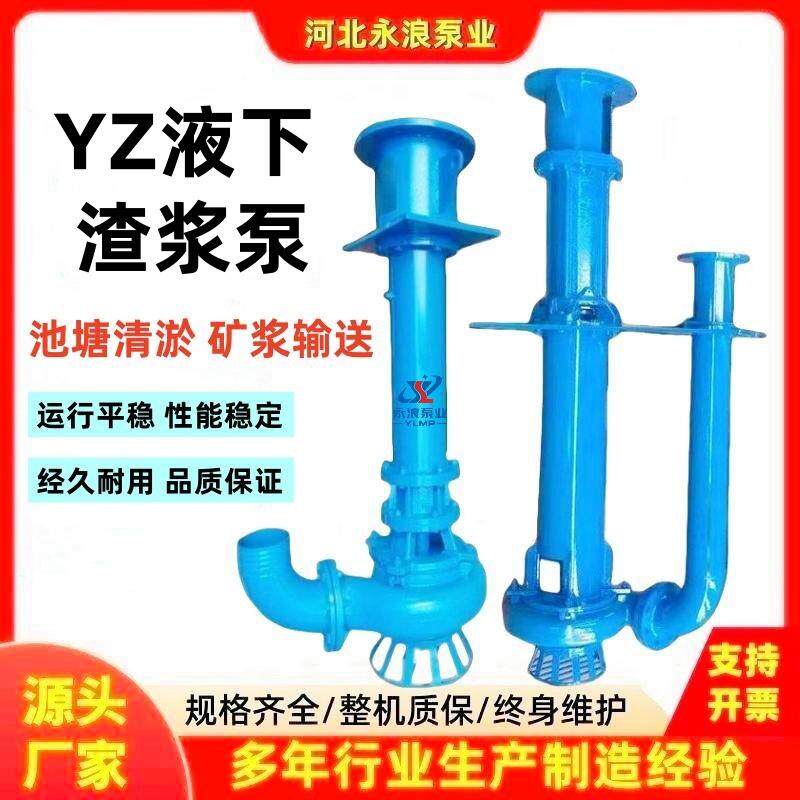 现货直销YZ/ZJL型液下渣浆泵高铬合金耐磨单双管渣浆泵泥沙泵