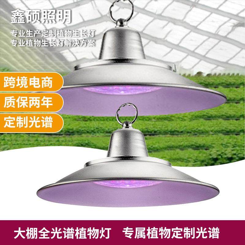 多肉补光灯大棚蔬果育苗生长灯兰花植物灯生长灯仿阳光绿植补光灯