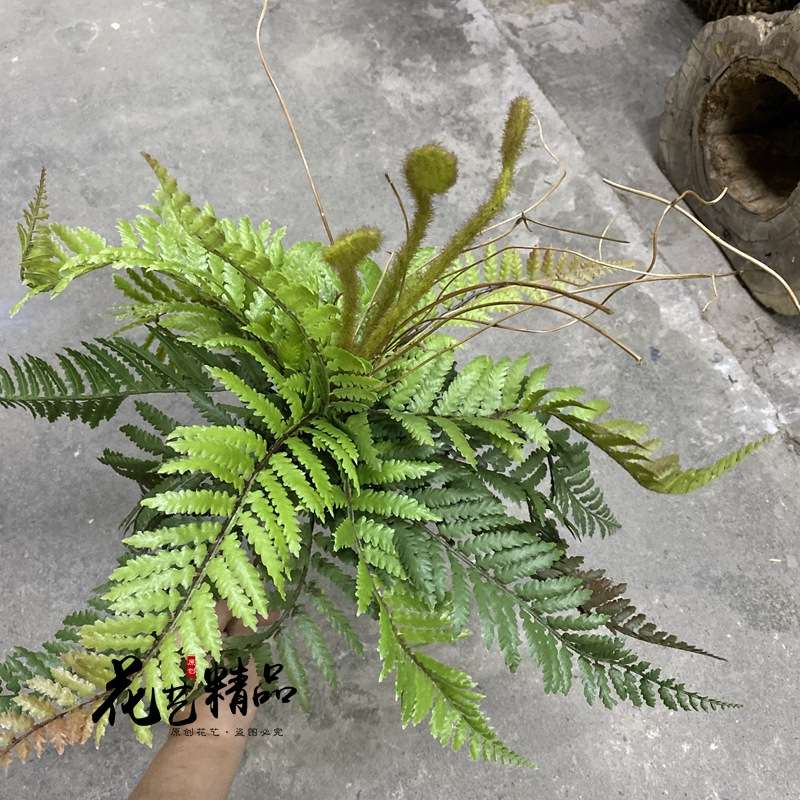高品质手感大蕨叶蕨草蕨类植物造景绿植壁挂单只/束垂吊假草田园