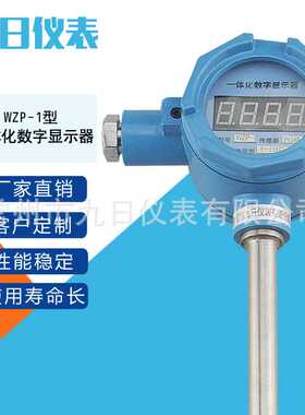 WZP-1型 一体化数字显示器 液晶数字现场显示温度变送器