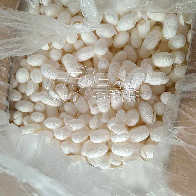 蚕茧蝉蜕粉碎机 蝉衣蝉壳打碎机 虫蜕破碎机 虫干粉碎机