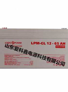 Logicpower蓄电池 LPM-GL12-65AH 12V65AH 机柜船舶UPS铅酸电池