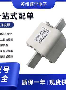 170M1409 170M1410  170M1411 熔断器保险丝 全新原装 量大优惠