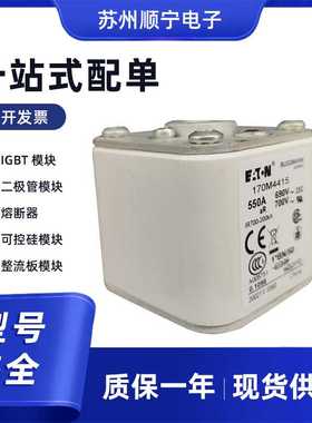 170M2819 巴斯曼 快速低压熔断器 标准封装 型号齐全 现货包邮