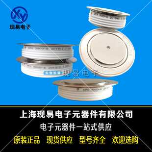 2900 2300 全新二极管模块现货 ZP4 ZPA