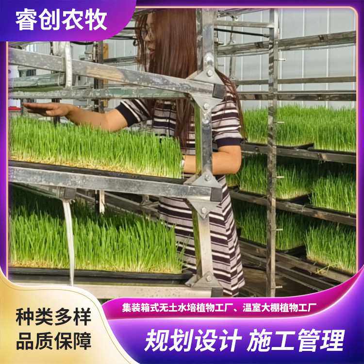 智慧水培方舱闲置房屋改造植物工厂 房屋车库改造式无土栽培饲草