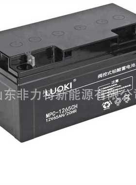 LUOKI洛奇蓄电池MPC-1255 12V55AH直流屏UPS电瓶EPS设备营销中心
