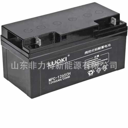 LUOKI洛奇蓄电池MPC-1255 12V55AH直流屏UPS电瓶EPS设备营销中心
