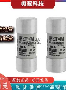 快速熔断器      C22G40     C22G50    C22G63