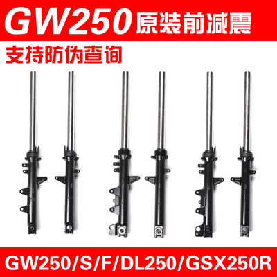 适用骊驰DL250 GSX250R GW250/S/F摩托车前减震器 避震器前叉原厂