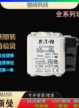 巴斯曼170M3473 170M3488 170M3489 销售供应出厂价格 方体熔断器