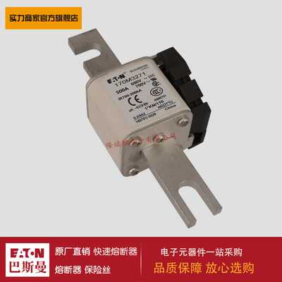 熔断器170M3271 170M3272 170M3273 170M4258 170M4259 170M4260