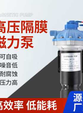现货电动隔膜泵DP-70-24V直流增压泵循环冷却泵扫地车喷水泵