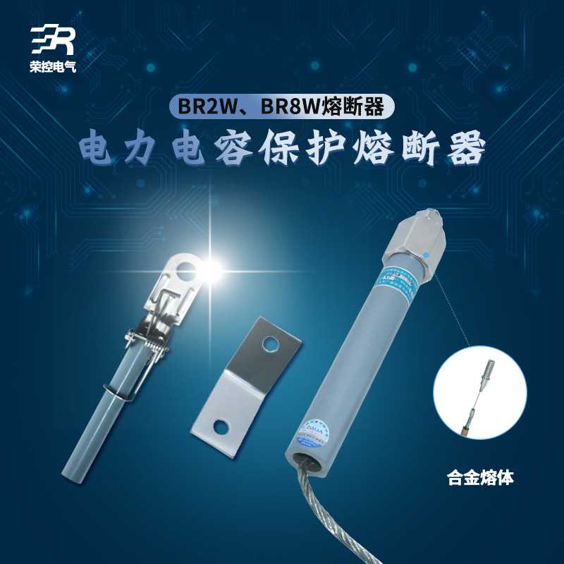 荣控并联电力电容保护熔断器BR2W BR8W-10(12)KV 50P 1-200A