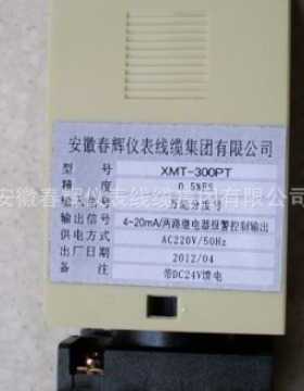 温度控制仪导轨安装XMT-300PT数字温度显示仪