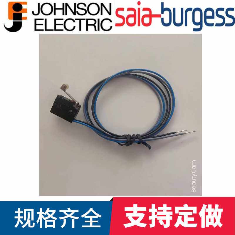 V4NST7AR1思博微动开关SAIA-BURGESS