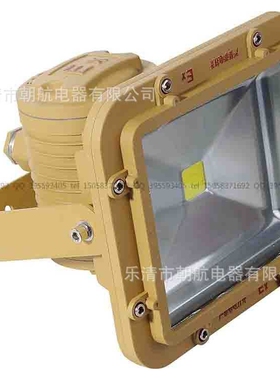 防爆LED灯 LED防爆灯具30~50W100W80W120W  BFC8602
