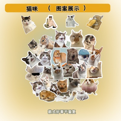 50张可爱猫咪表情包贴纸装饰贴纸