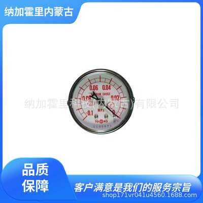 TOAKO东洋计器 真空计 AT1/4G50×-0.1MPa