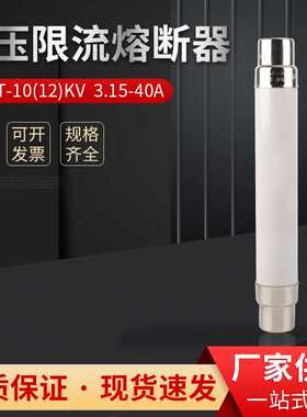 XRNT-10KV50A63A100A高压高分段能力限流熔断器保险管SFLAJ-12KV